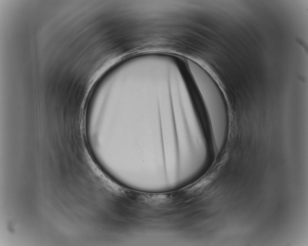 X0000099430957200806061016