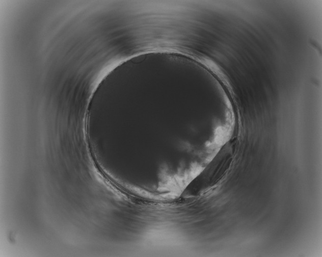 X0000099430958200806061016