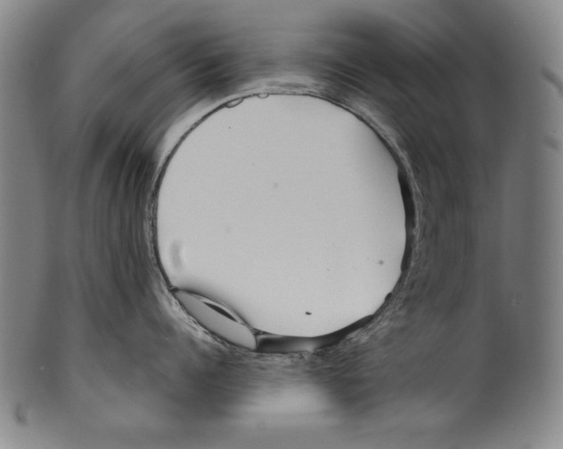 X0000099430960200806061016