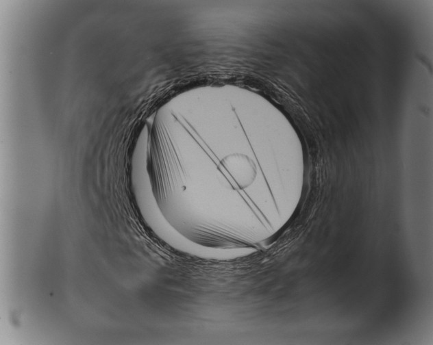 X0000099430961200806061015