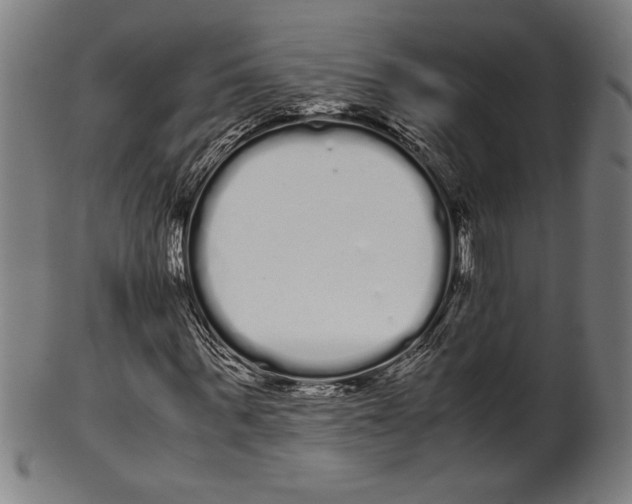 X0000099430963200806061015