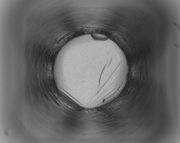 X0000099430964200806061015