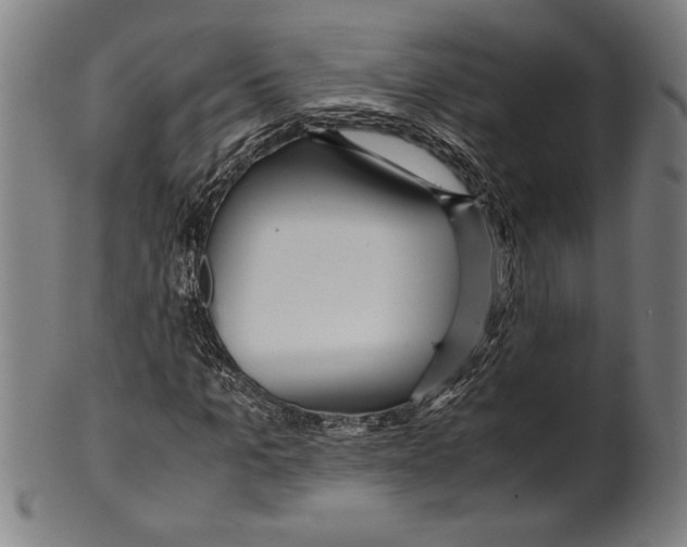 X0000099430965200806061015