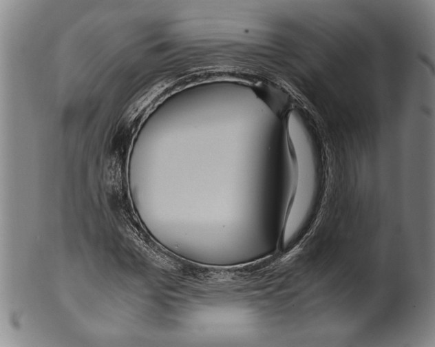 X0000099430969200806061015