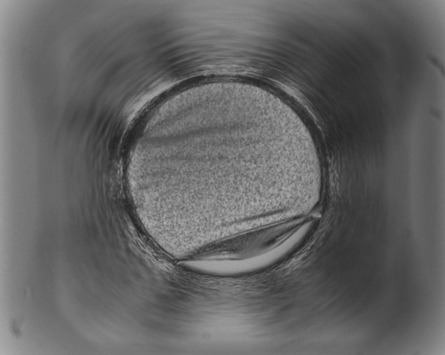 X0000099430971200806061015