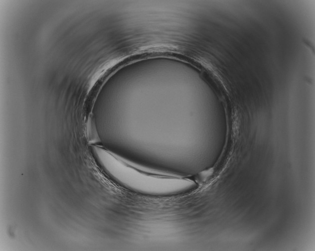 X0000099430973200806061015