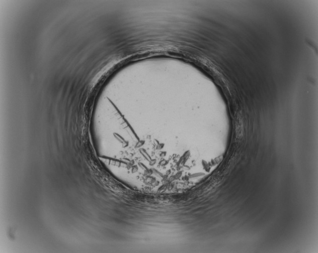 X0000099430975200806061015