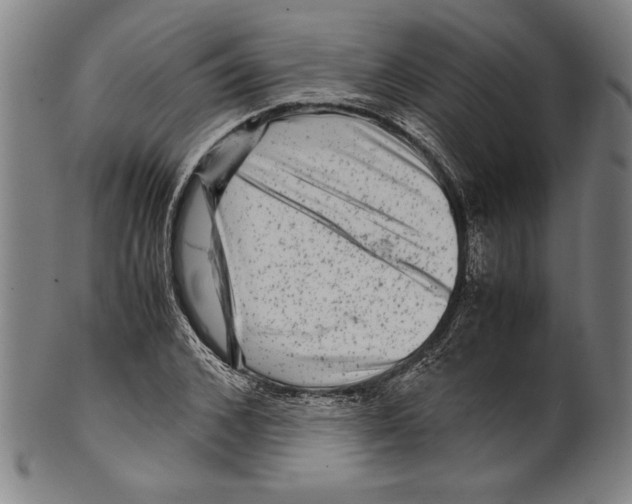 X0000099430976200806061015