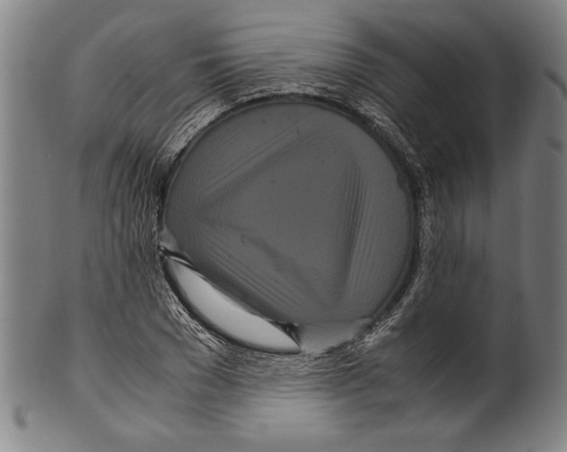 X0000099430977200806061015