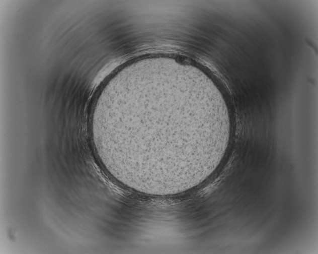 X0000099430978200806061015