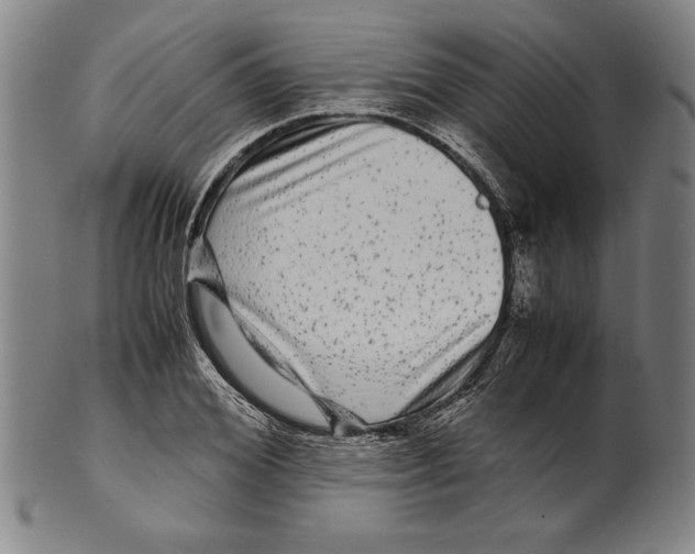 X0000099430980200806061015