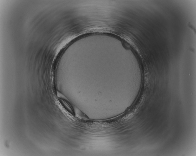 X0000099430981200806061015