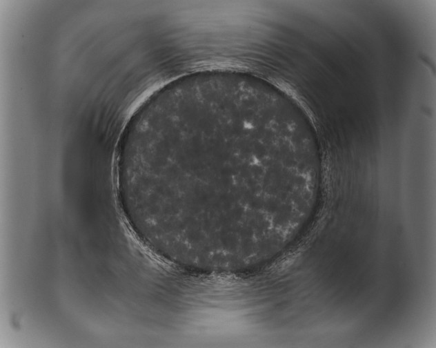 X0000099430983200806061015