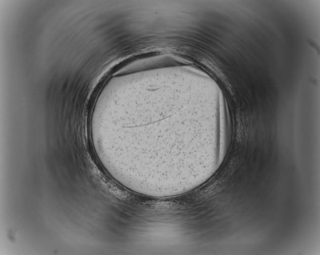 X0000099430984200806061015