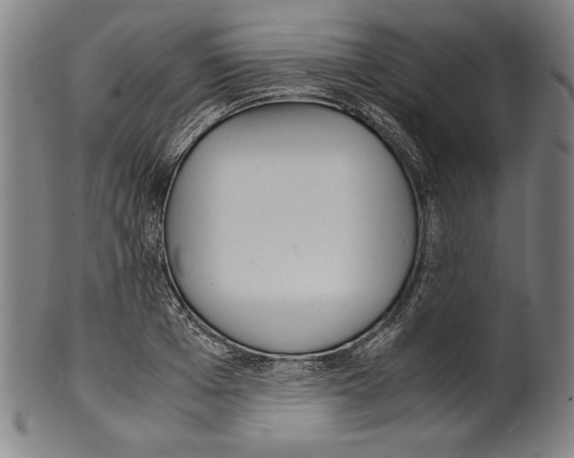 X0000099430985200806061015