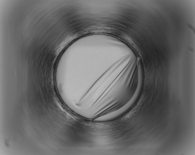 X0000099430986200806061015