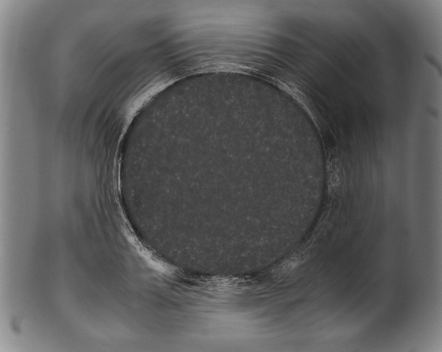 X0000099430987200806061015