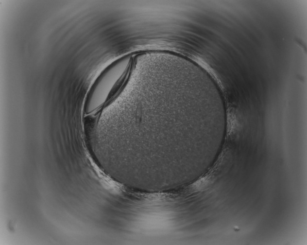 X0000099430988200806061015