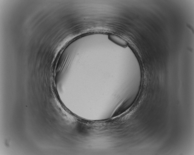 X0000099430989200806061015