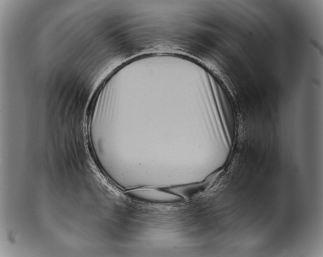 X0000099430990200806061015