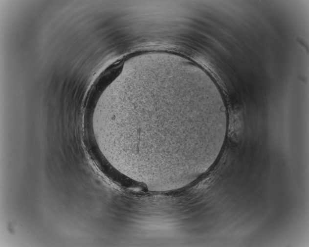 X0000099430992200806061015