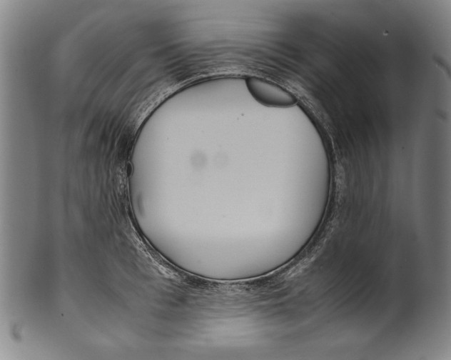 X0000099430993200806061015