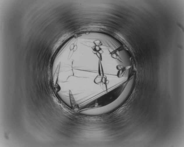 X0000099430994200806061015