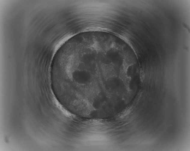 X0000099430995200806061015