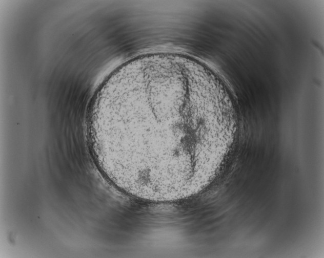 X0000099430998200806061015