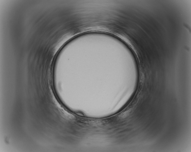 X0000099430999200806061015