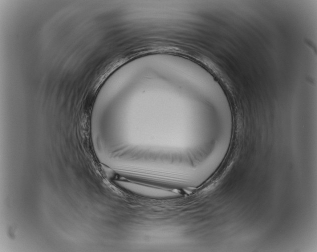 X0000099431001200806061015