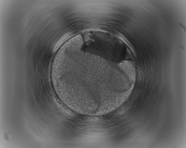 X0000099431002200806061015