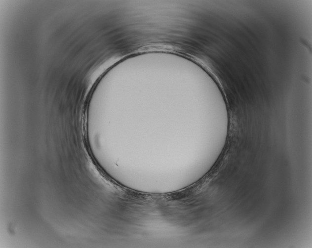 X0000099431003200806061015