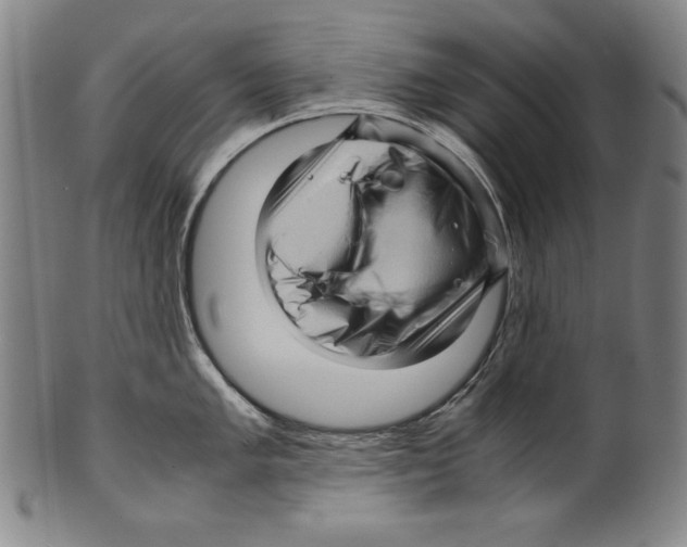 X0000099431005200806061015