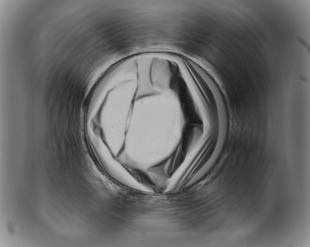 X0000099431006200806061015