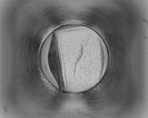 X0000099431008200806061015