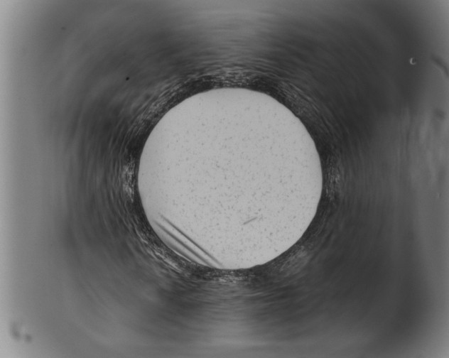 X0000099431010200806061014