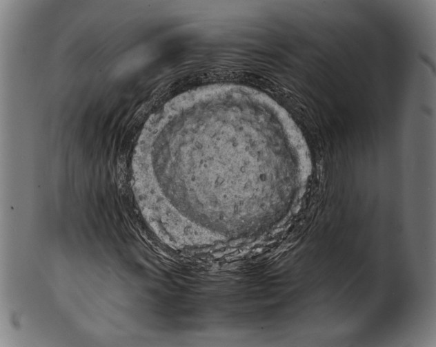 X0000099431011200806061014