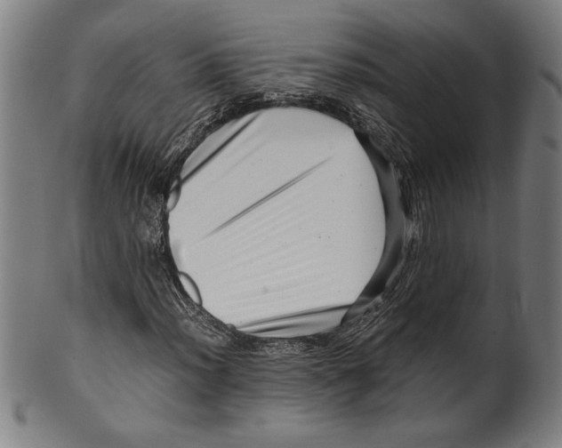 X0000099431012200806061014