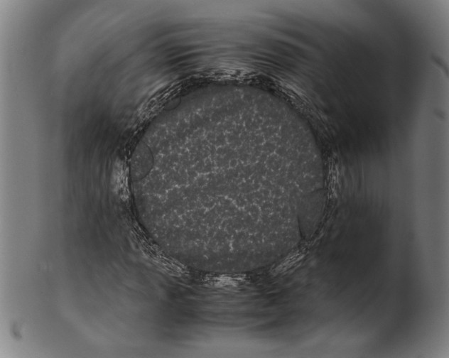 X0000099431013200806061014