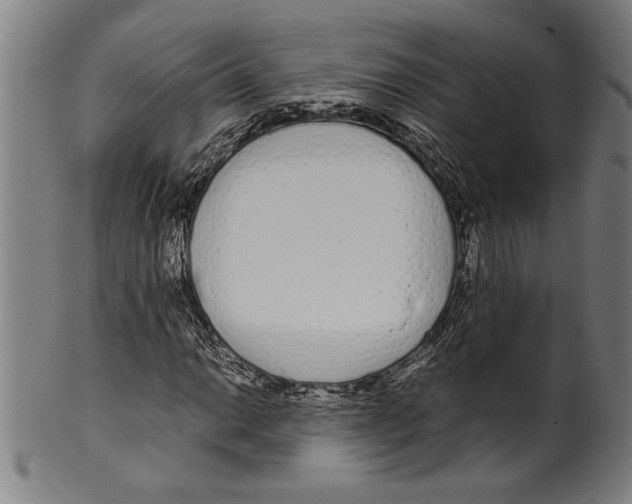 X0000099431014200806061014