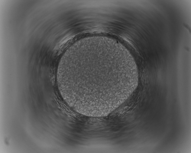 X0000099431015200806061014