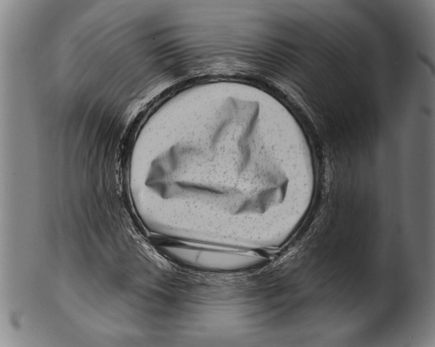 X0000099431018200806061014