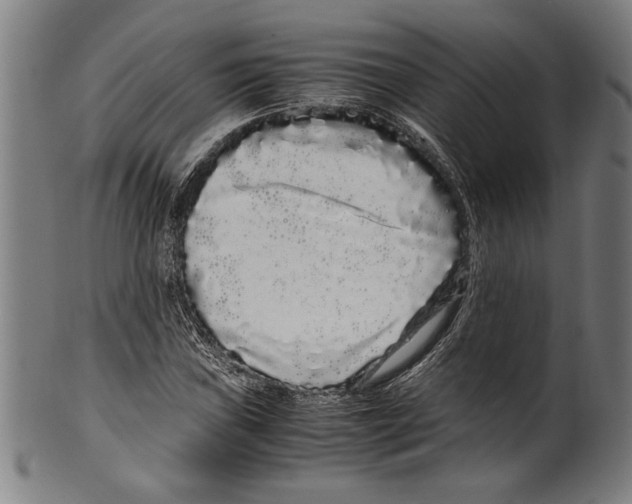 X0000099431019200806061014