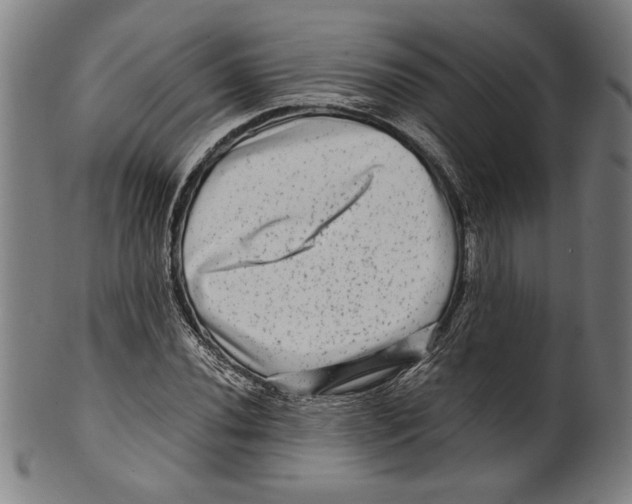 X0000099431020200806061014