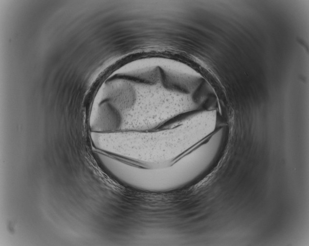 X0000099431021200806061014