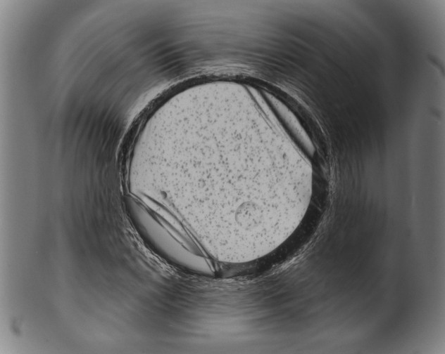 X0000099431022200806061014