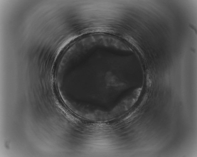 X0000099431024200806061014