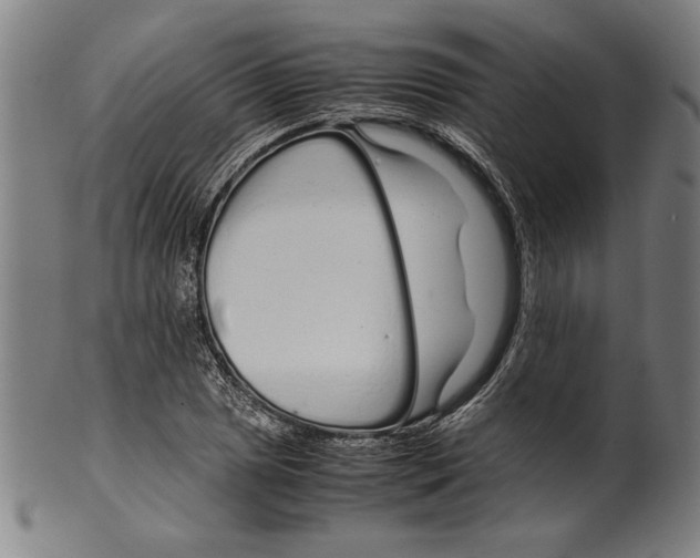 X0000099431025200806061014