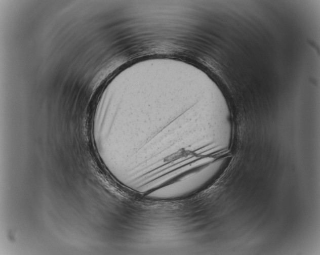 X0000099431026200806061014